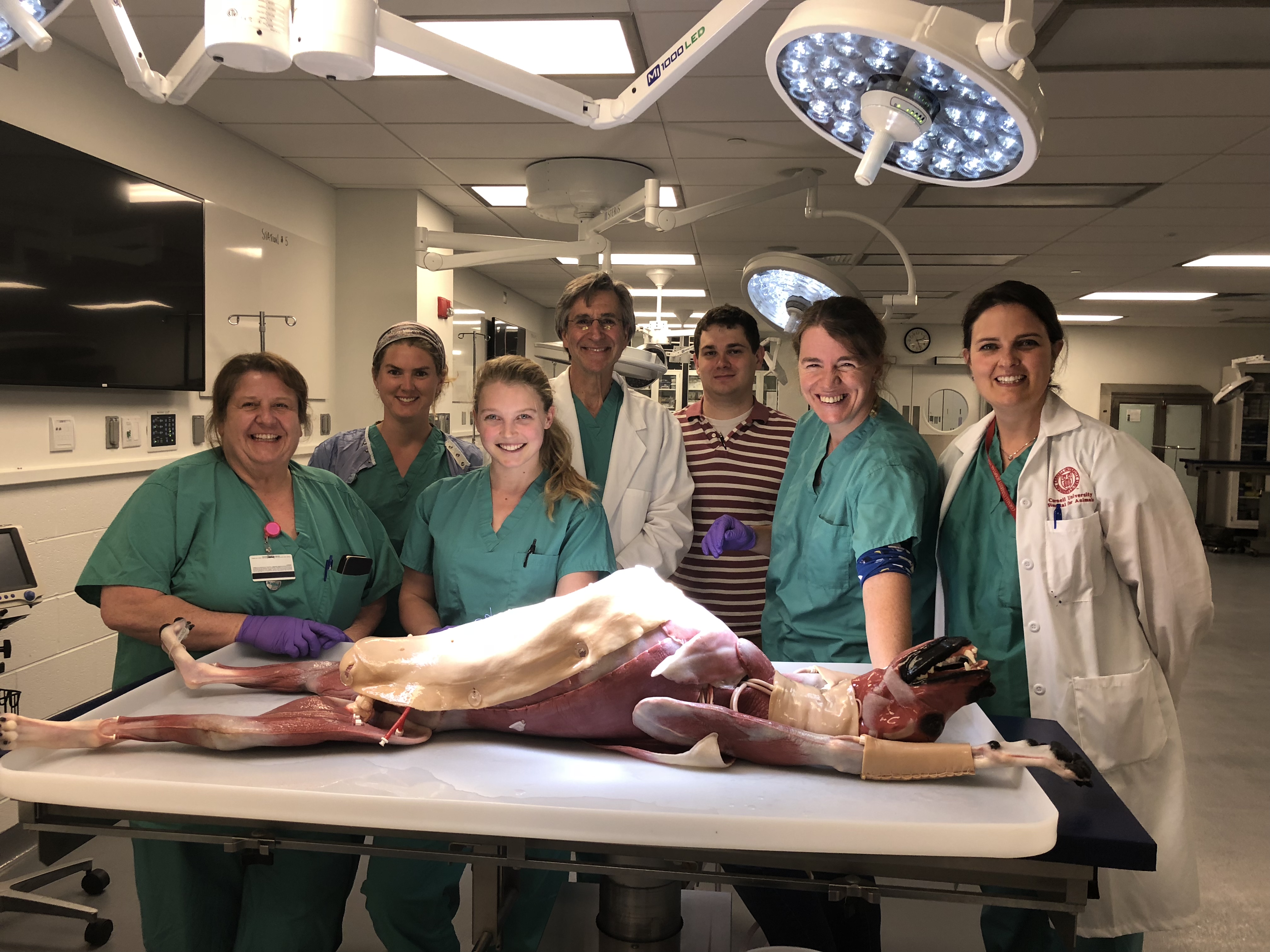 Garden State Veterinary / Ocean State Veterinary Specialists Bay State